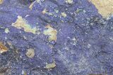 Large Azurite with Malachite Specimen ( Lbs) - Morocco #219543-3
